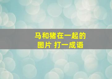 马和猪在一起的图片 打一成语